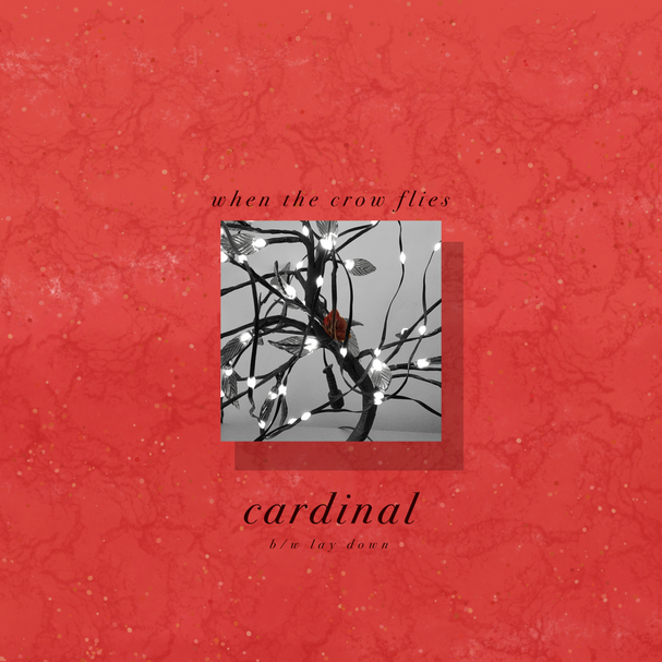cardinal (single) (2024)