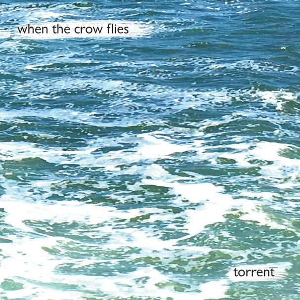 torrent (2017)